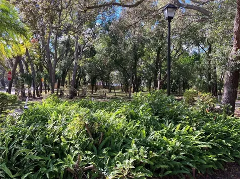 11703 Raintree Village Boulevard Temple Terrace FL 33617