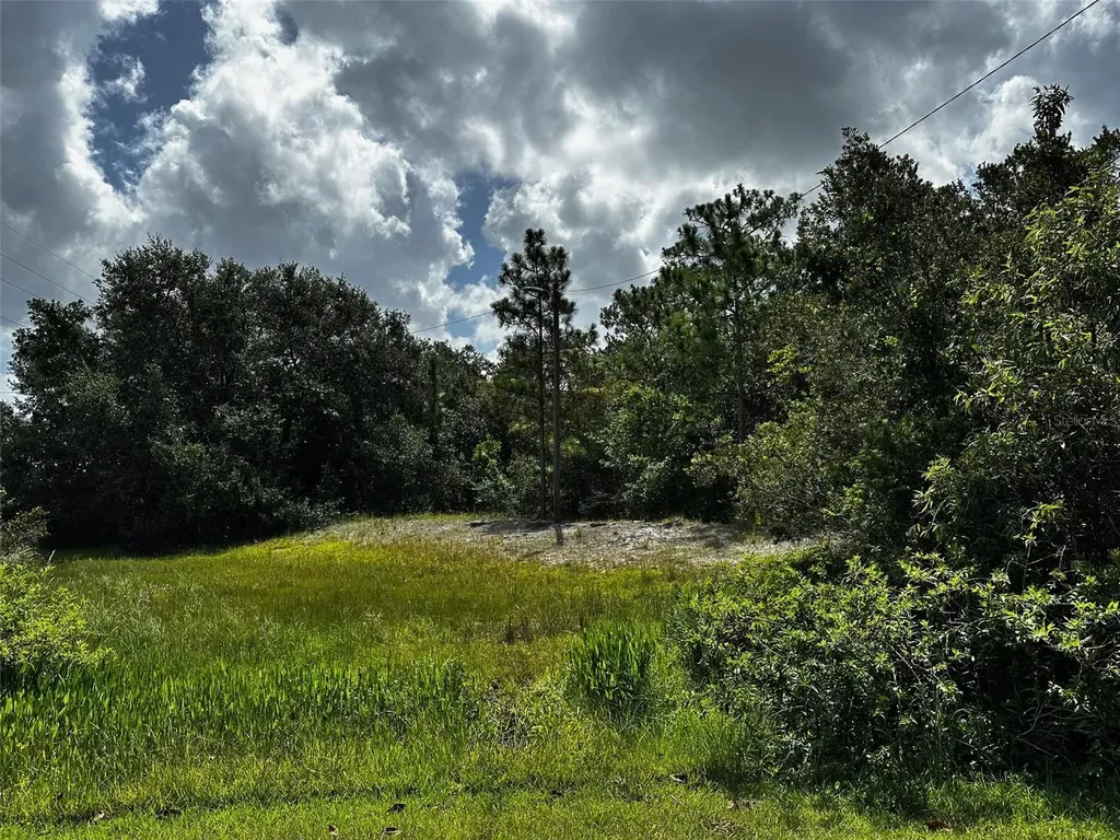 0 Doherty Drive Lake Wales FL 33898
