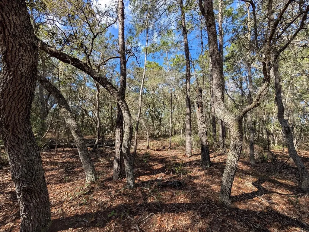 120 & 122 North Carolina Drive Satsuma FL 32189