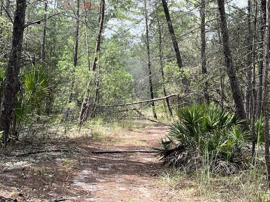 120 & 122 North Carolina Drive Satsuma FL 32189