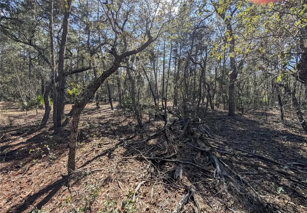 120 & 122 North Carolina Drive Satsuma FL 32189
