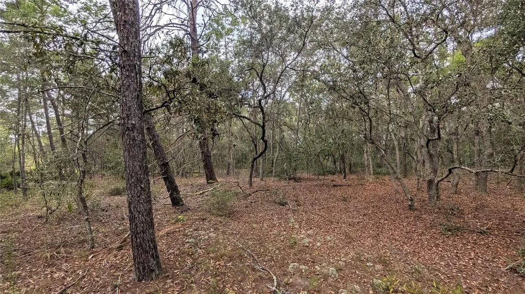 120 & 122 North Carolina Drive Satsuma FL 32189