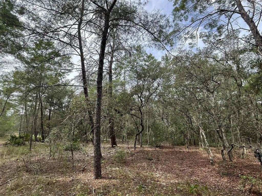 120 & 122 North Carolina Drive Satsuma FL 32189