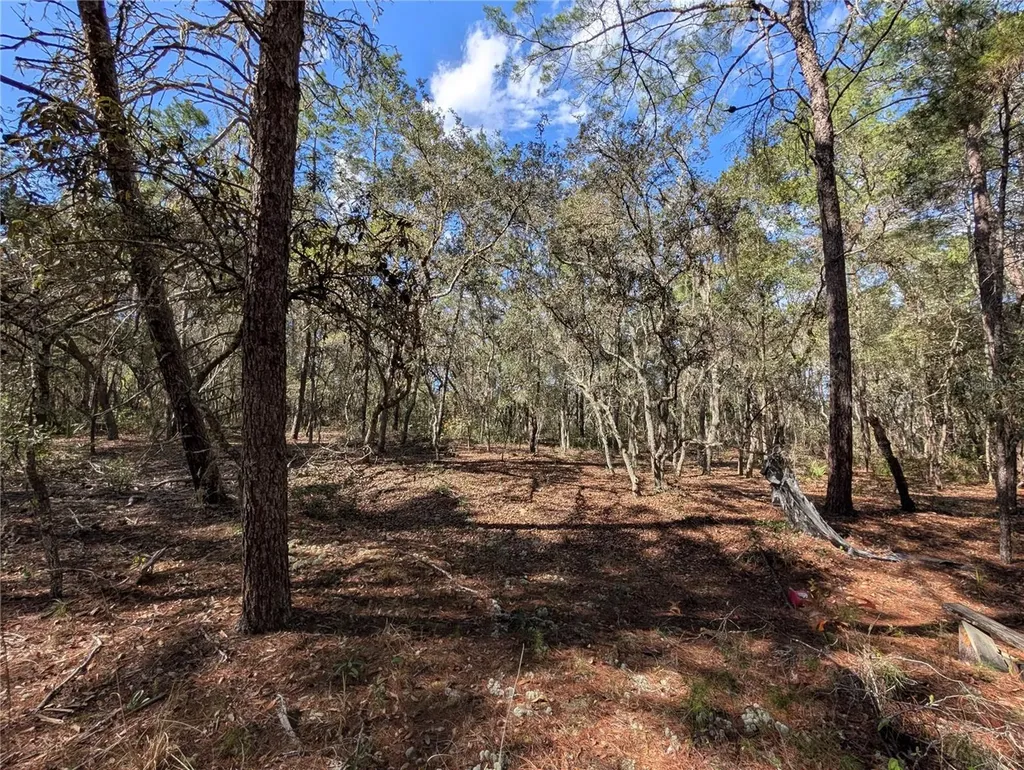 120 & 122 North Carolina Drive Satsuma FL 32189