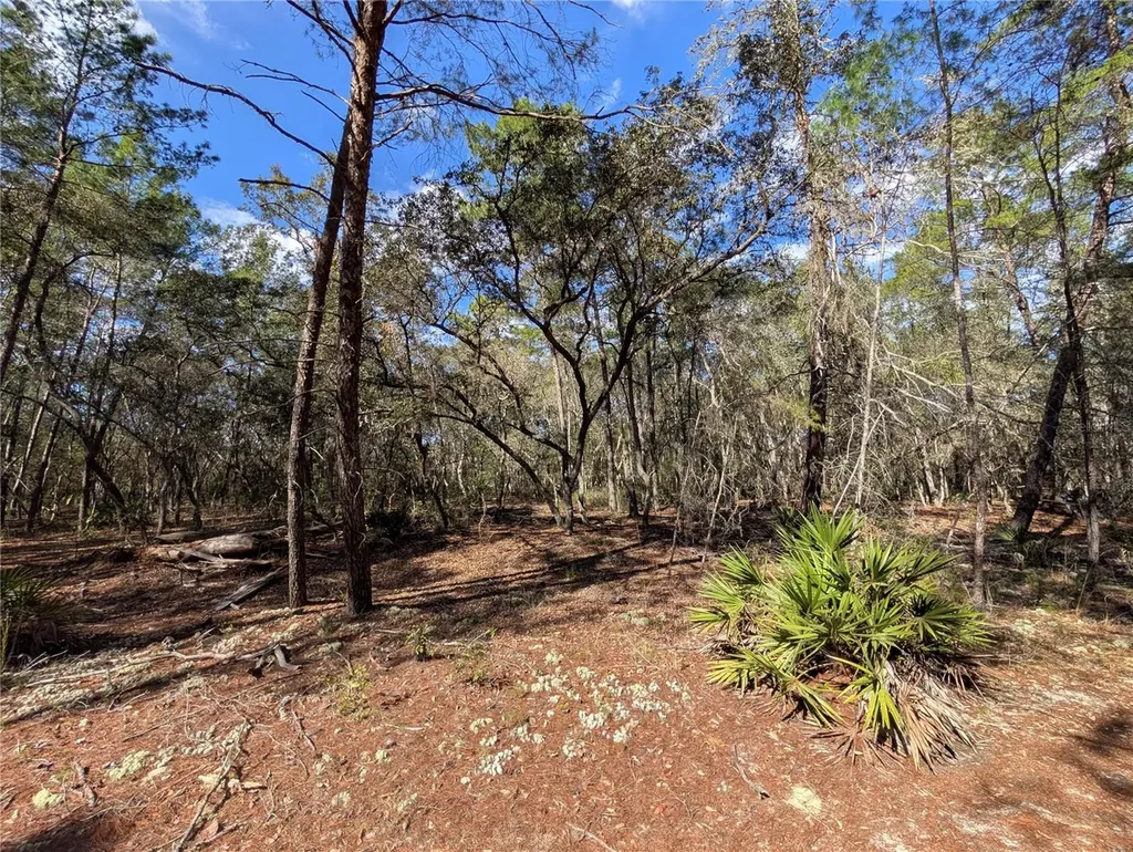 120 & 122 North Carolina Drive Satsuma FL 32189