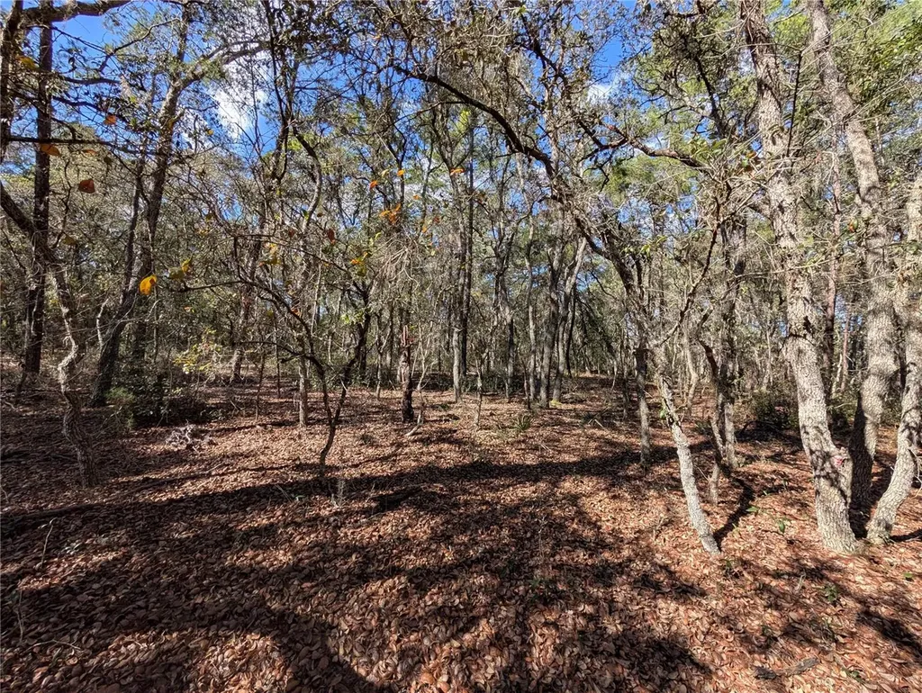 120 & 122 North Carolina Drive Satsuma FL 32189
