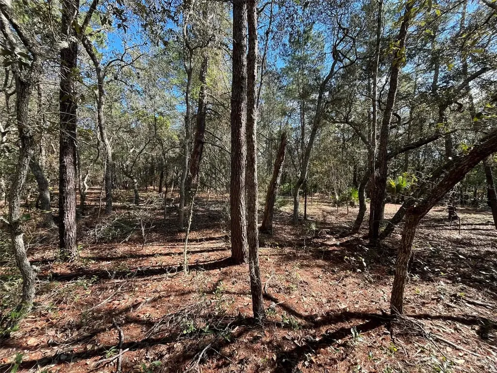 120 & 122 North Carolina Drive Satsuma FL 32189