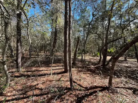 120 & 122 North Carolina Drive Satsuma FL 32189