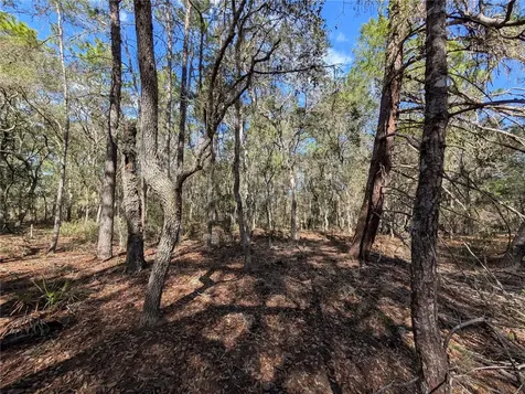 120 & 122 North Carolina Drive Satsuma FL 32189