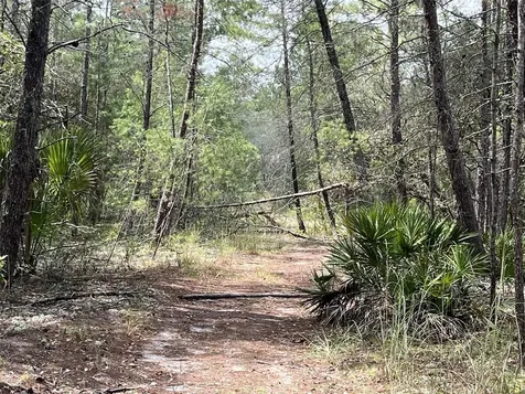 120 & 122 North Carolina Drive Satsuma FL 32189