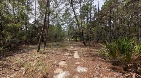 120 & 122 North Carolina Drive Satsuma FL 32189