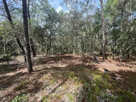 120 & 122 North Carolina Drive Satsuma FL 32189