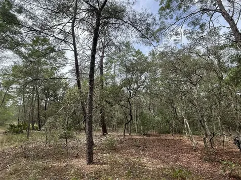120 & 122 North Carolina Drive Satsuma FL 32189