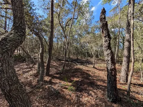 120 & 122 North Carolina Drive Satsuma FL 32189