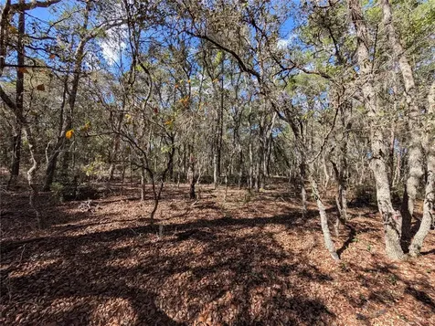 120 & 122 North Carolina Drive Satsuma FL 32189