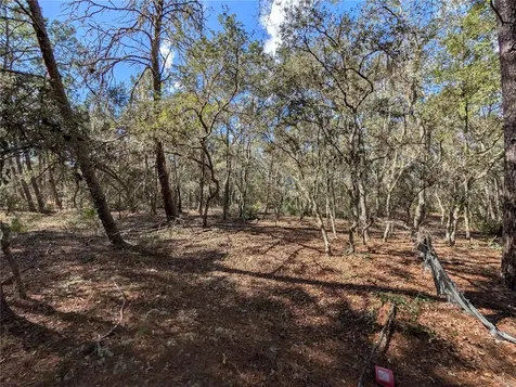 120 & 122 North Carolina Drive Satsuma FL 32189