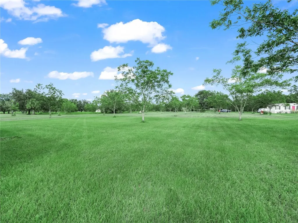 8564 Carey Road Lithia FL 33547