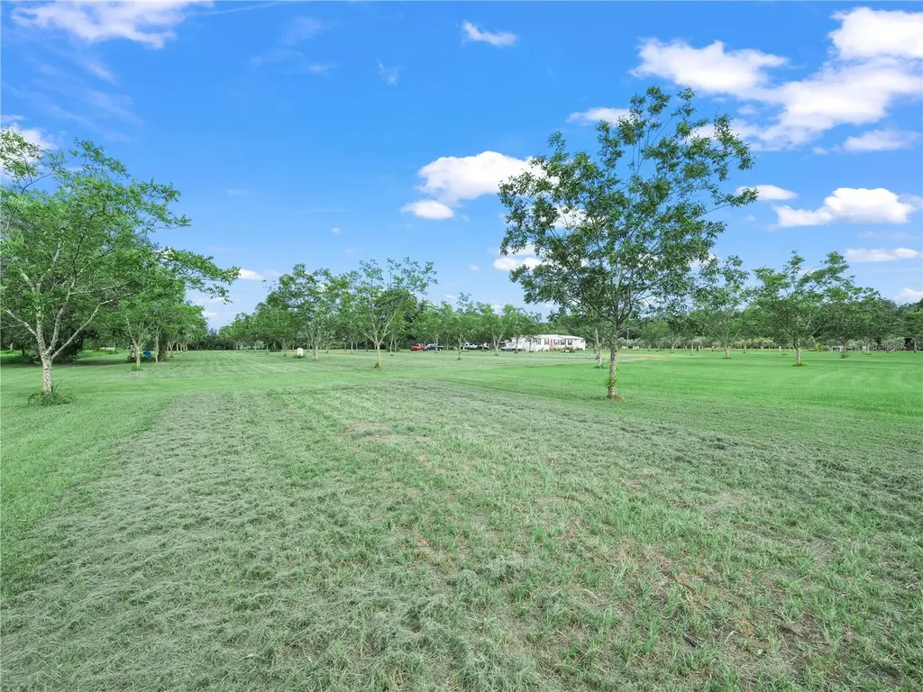 8564 Carey Road Lithia FL 33547