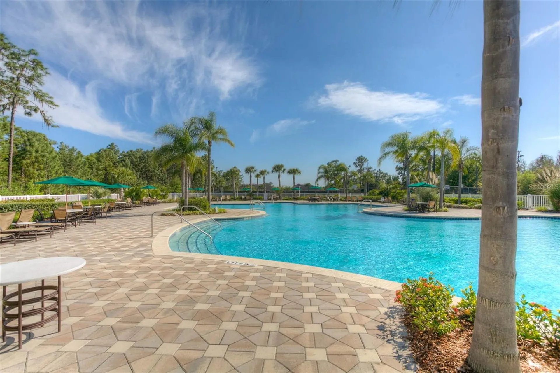 20312 Noble Oak Place Tampa FL 33647