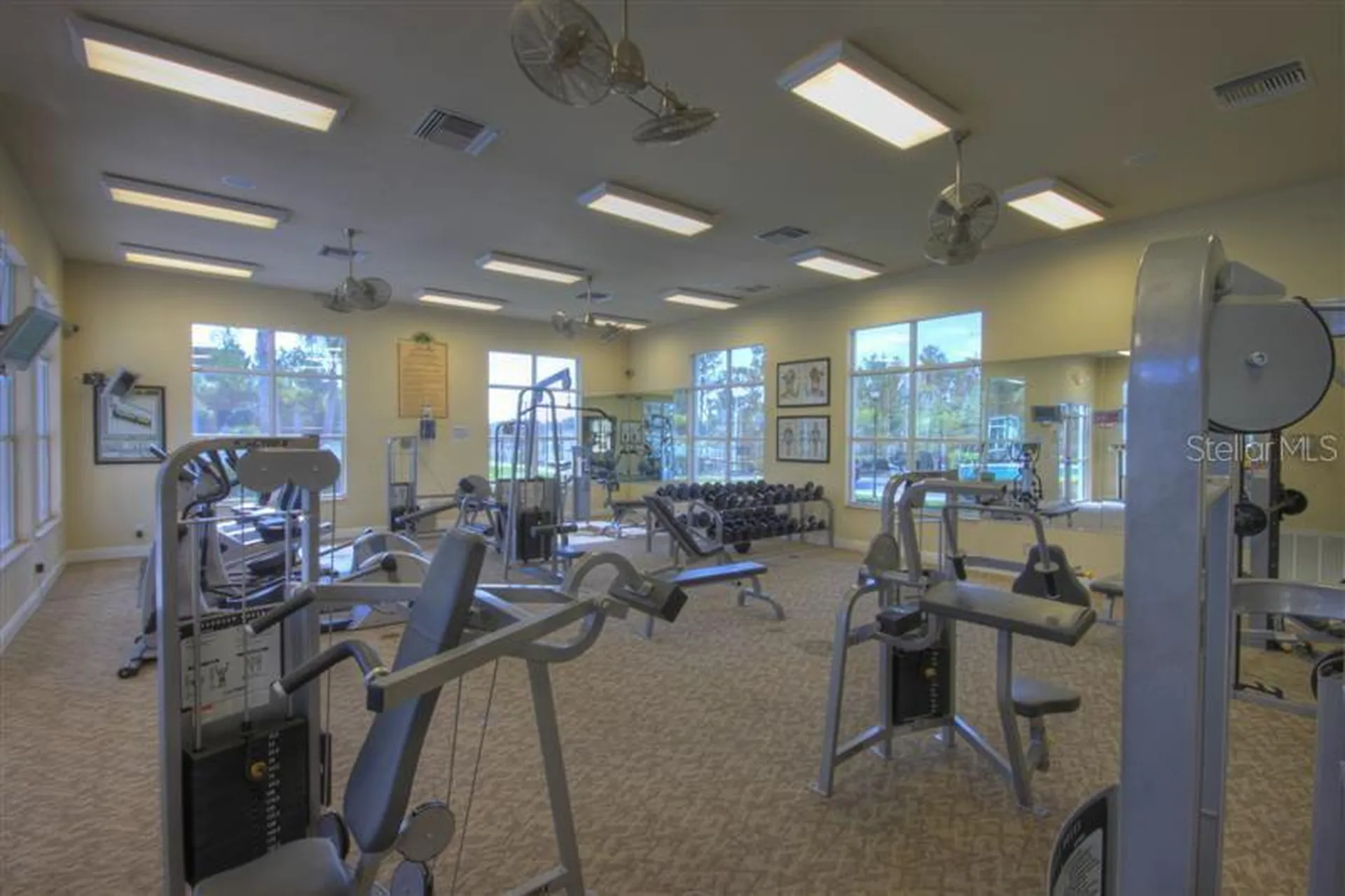 20312 Noble Oak Place Tampa FL 33647