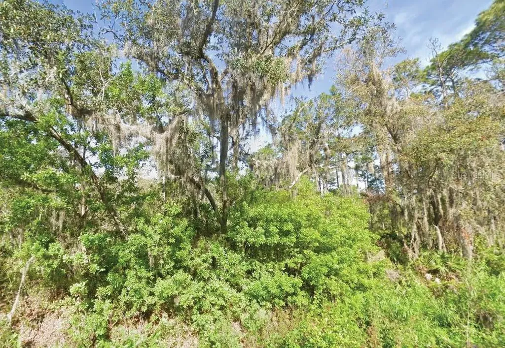 119 Temple Avenue Crescent City FL 32112