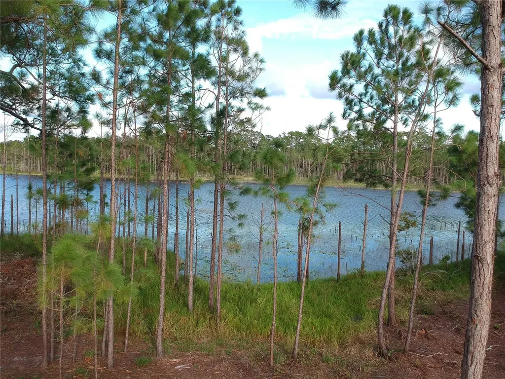 205 Rosedale Drive Deltona FL 32738