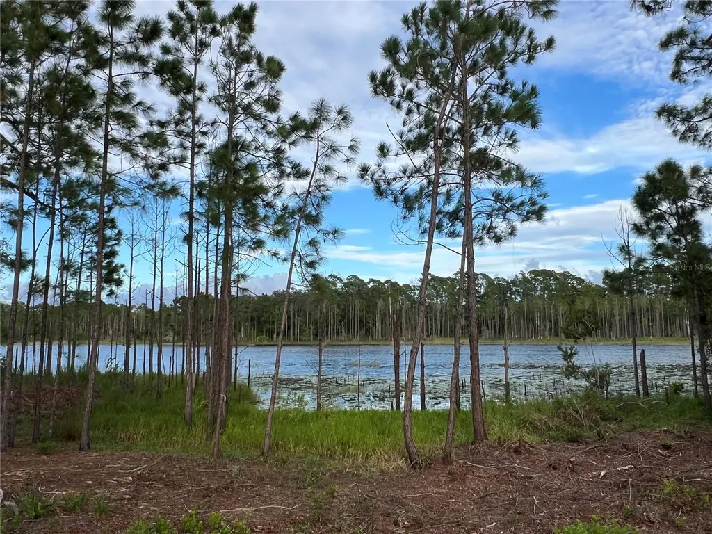 205 Rosedale Drive Deltona FL 32738