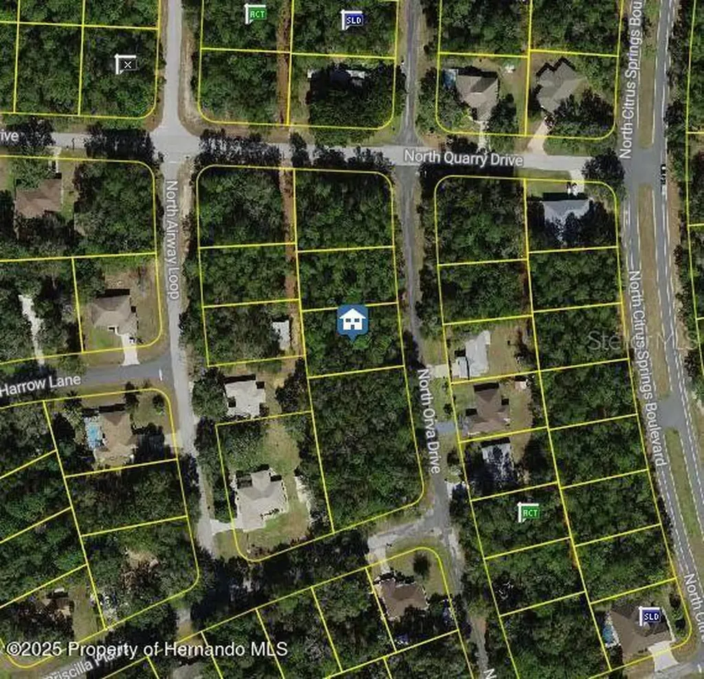10768 N Orva Drive Citrus Springs FL 34434
