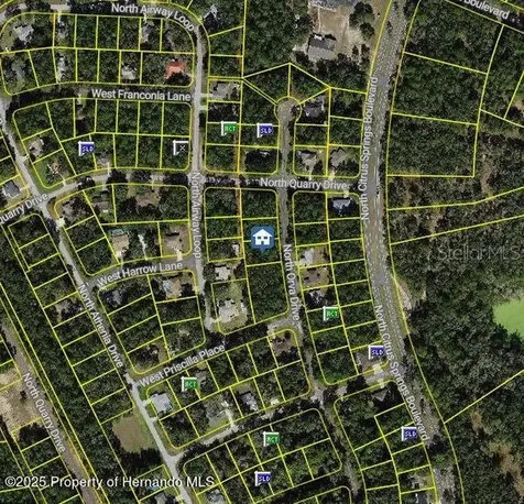 10768 N Orva Drive Citrus Springs FL 34434
