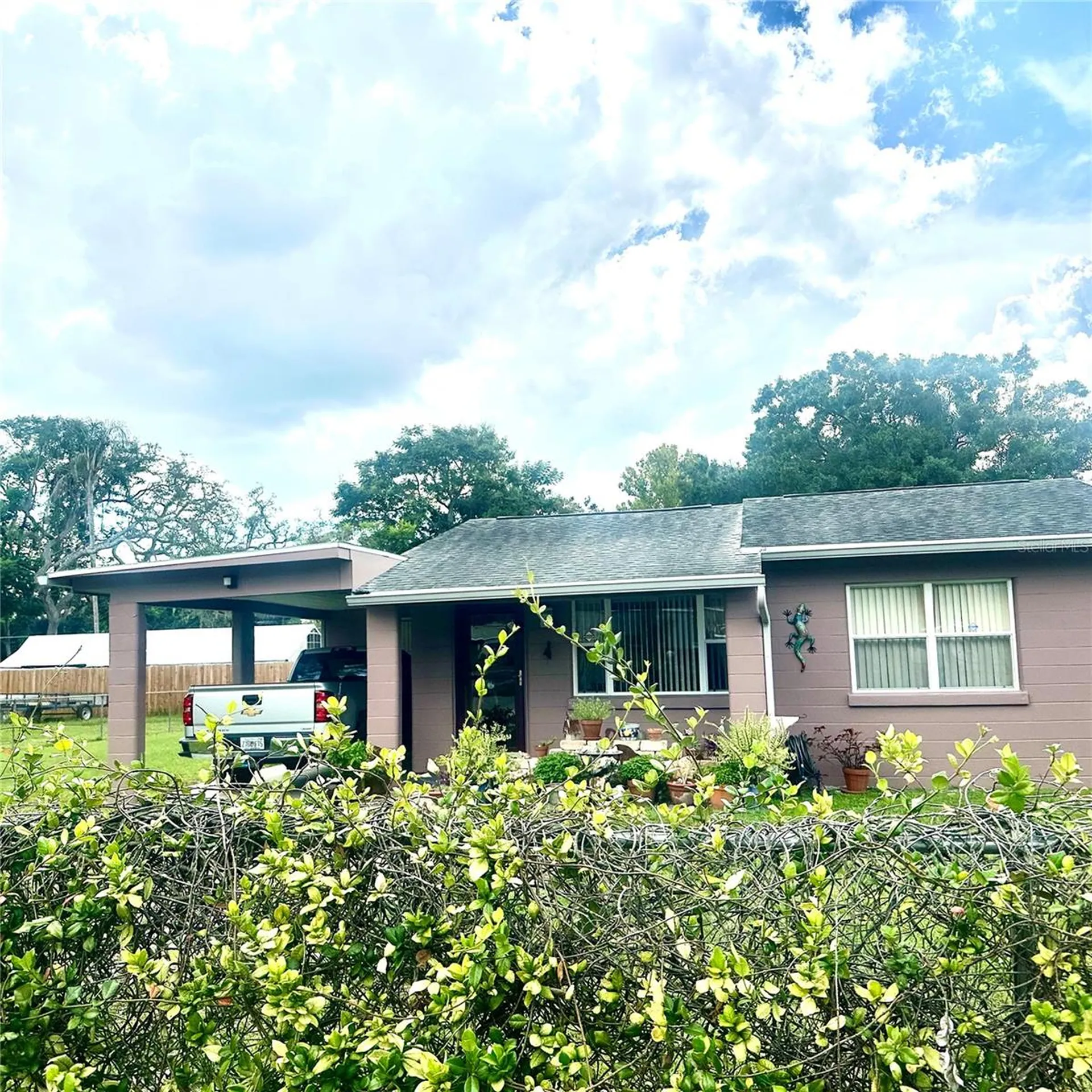 8704 N Rome Avenue Tampa FL 33604