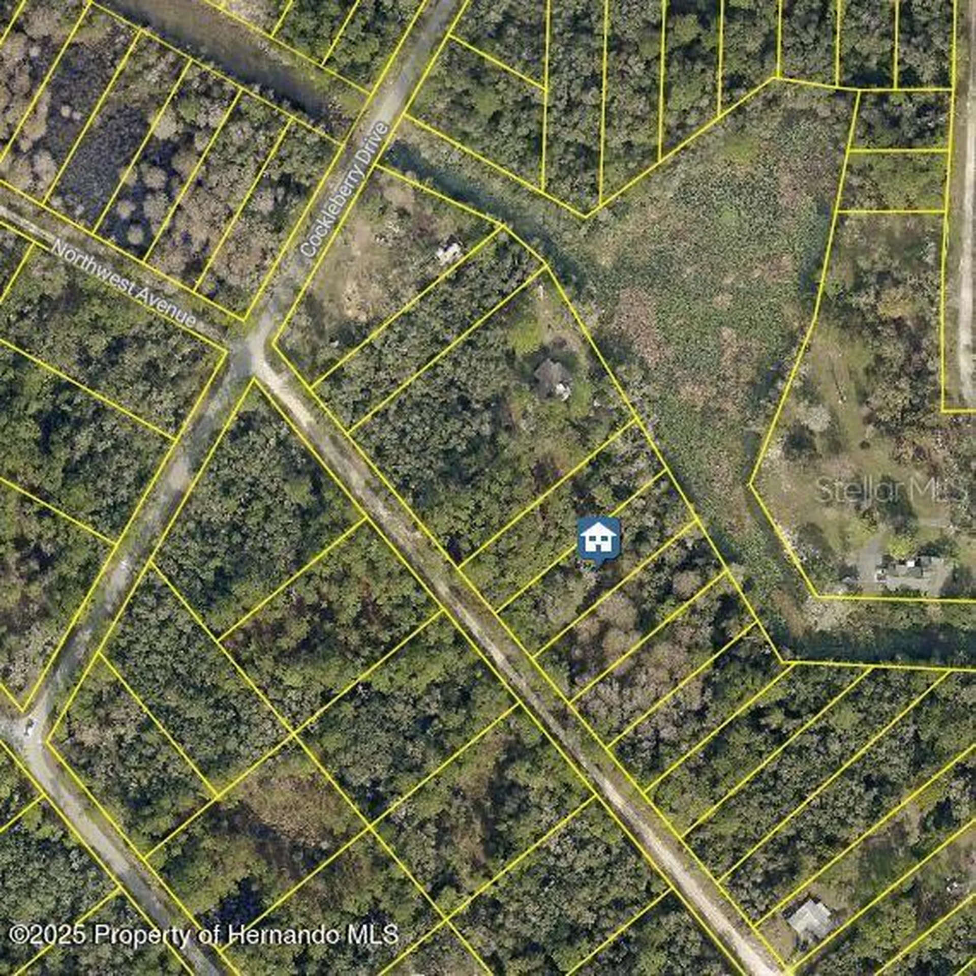 Lot 7 Northwest Avenue Webster FL 33597