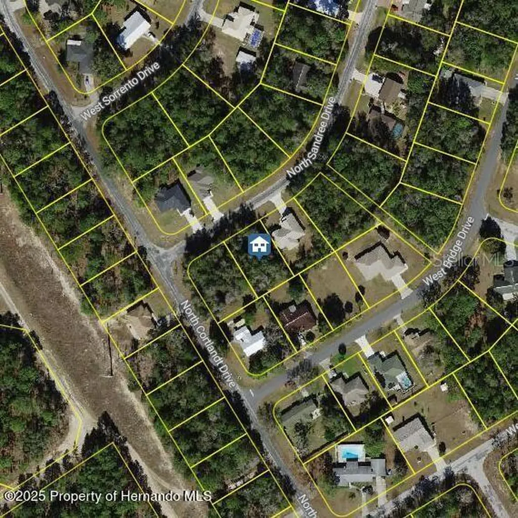 9996 N Sandree Drive Citrus Springs FL 34434