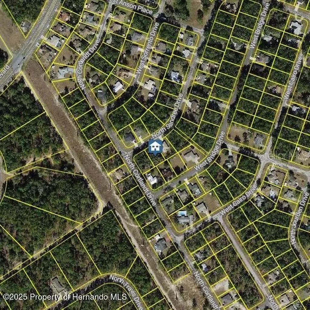 9996 N Sandree Drive Citrus Springs FL 34434