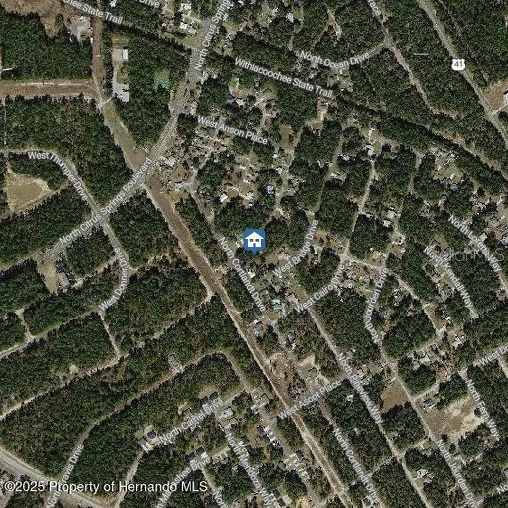9996 N Sandree Drive Citrus Springs FL 34434