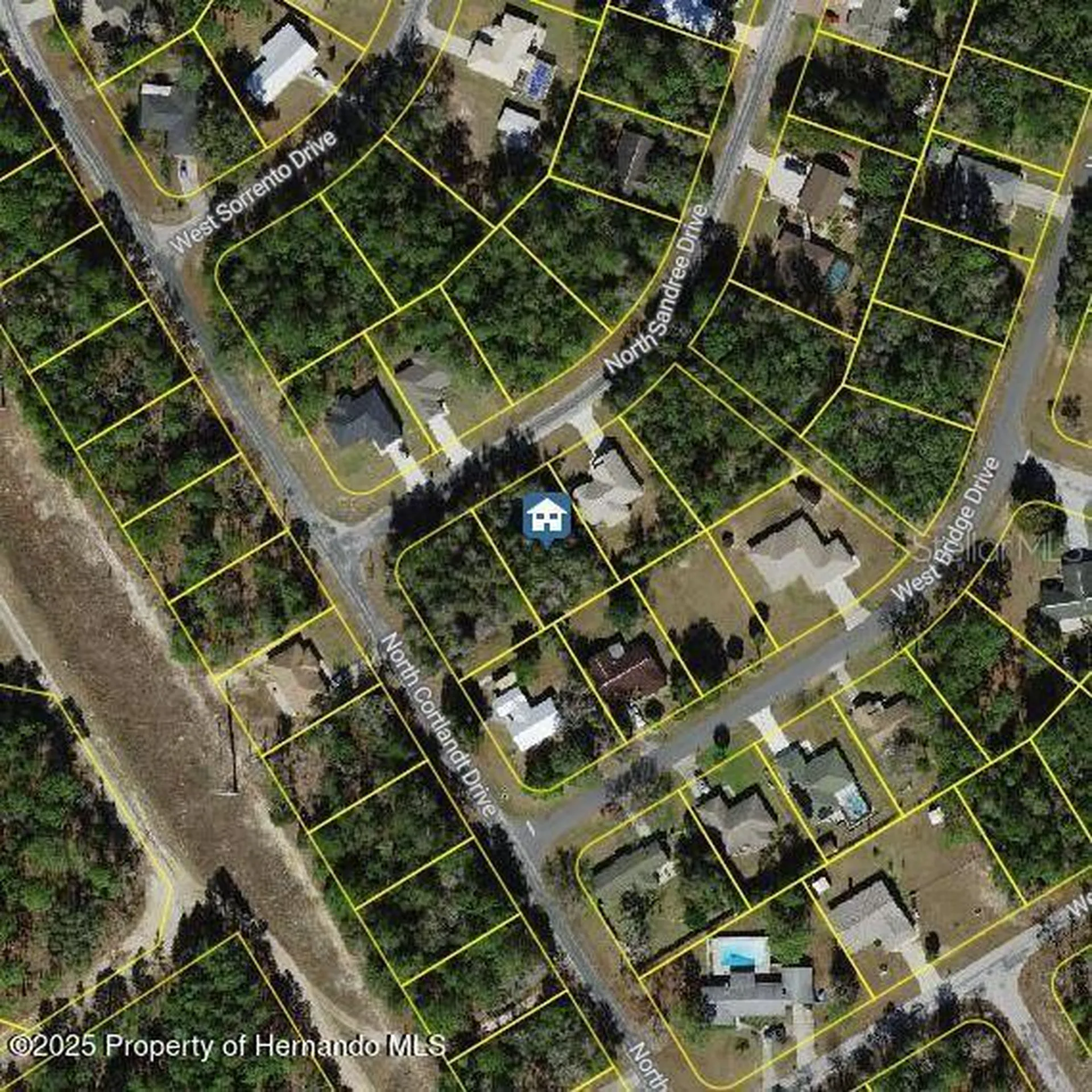 9996 N Sandree Drive Citrus Springs FL 34434