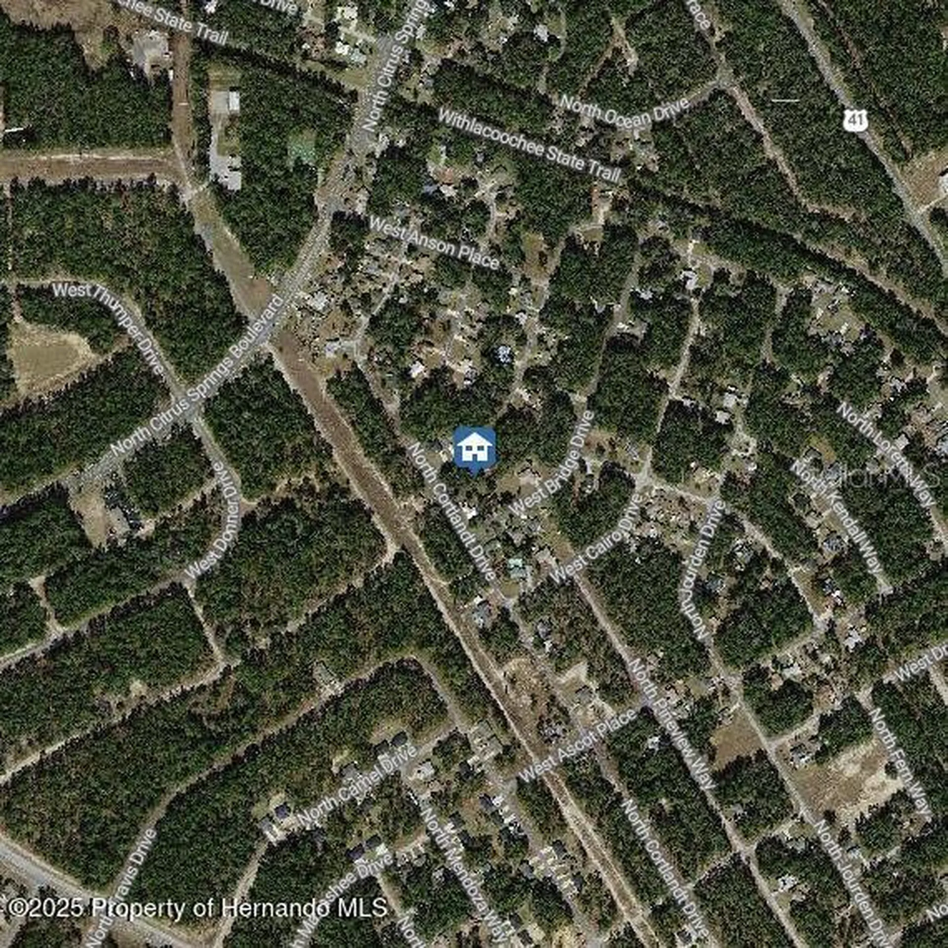 9996 N Sandree Drive Citrus Springs FL 34434