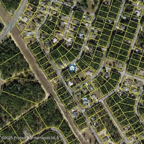 9996 N Sandree Drive Citrus Springs FL 34434