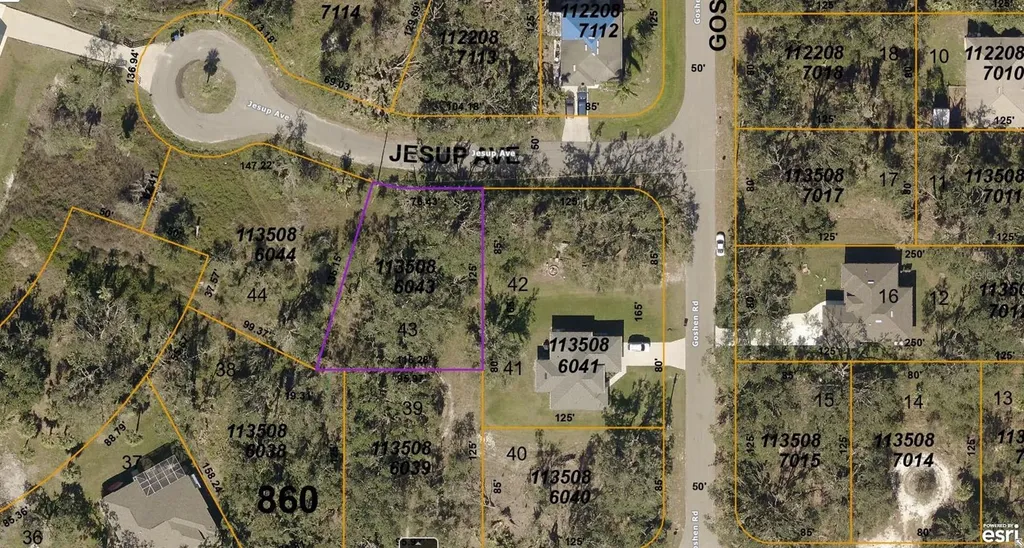 1135086043 Jesup Avenue North Port FL 34288