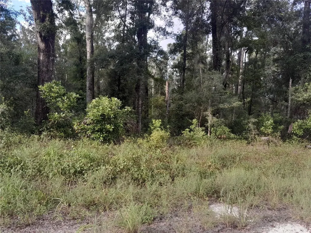 Tbd NE 292nd Avenue Old Town FL 32680