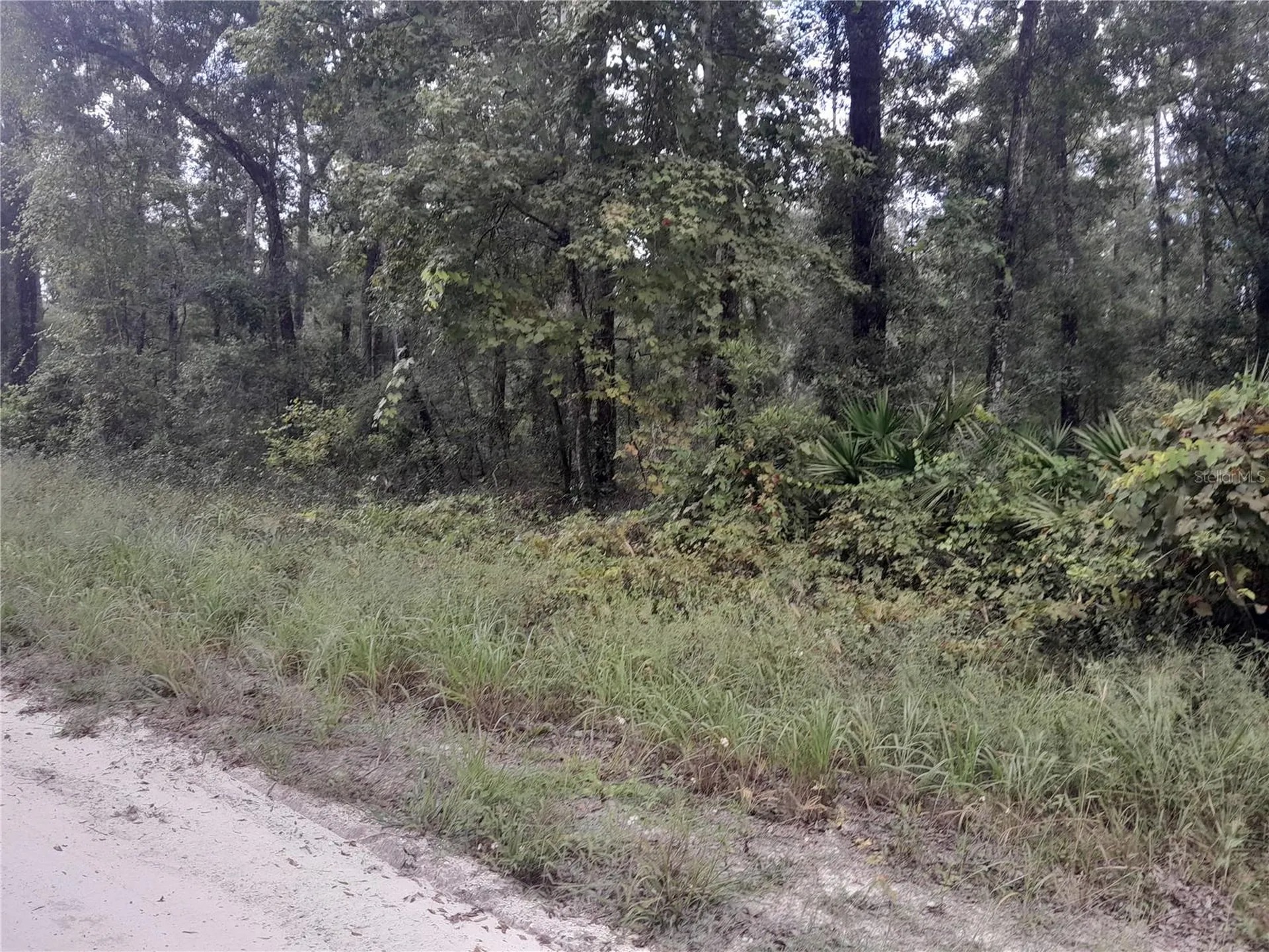 Tbd NE 292nd Avenue Old Town FL 32680