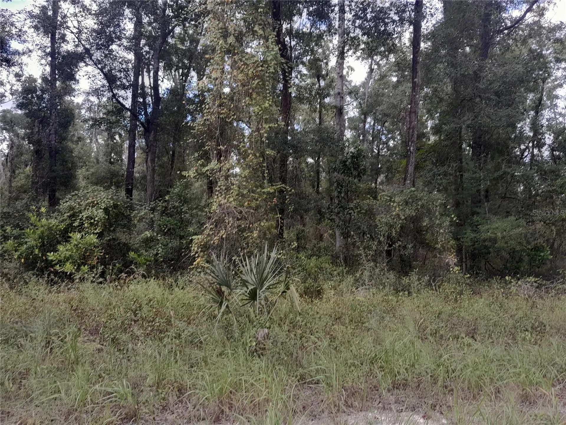 Tbd NE 292nd Avenue Old Town FL 32680
