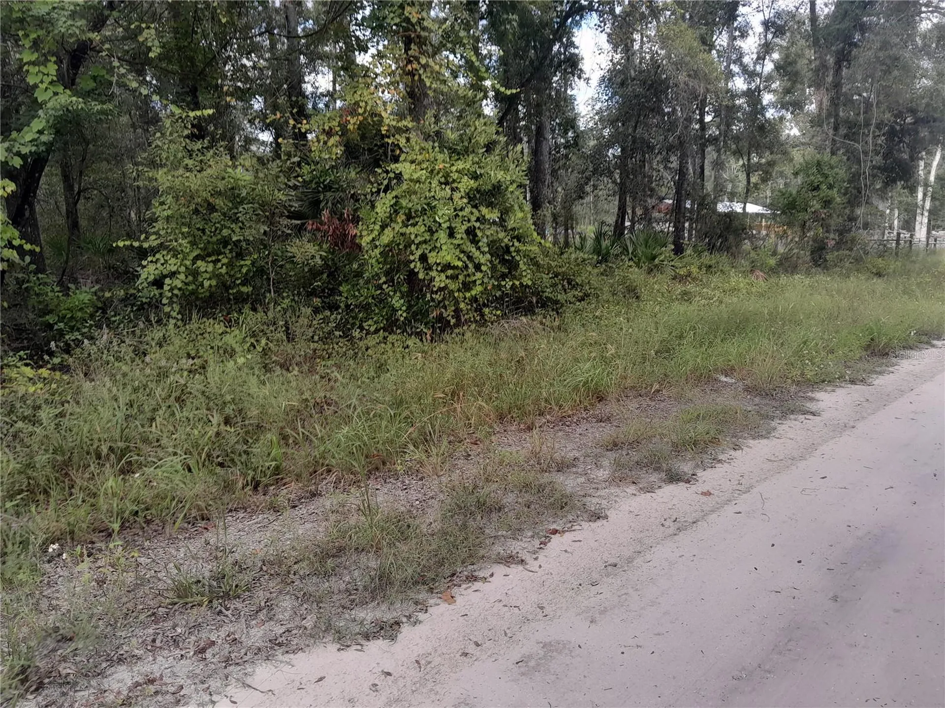 Tbd NE 292nd Avenue Old Town FL 32680