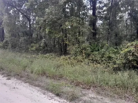 Tbd NE 292nd Avenue Old Town FL 32680