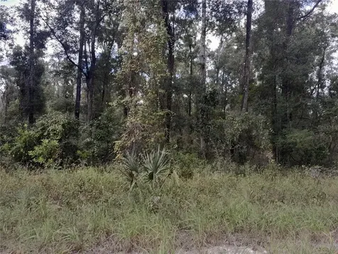 Tbd NE 292nd Avenue Old Town FL 32680