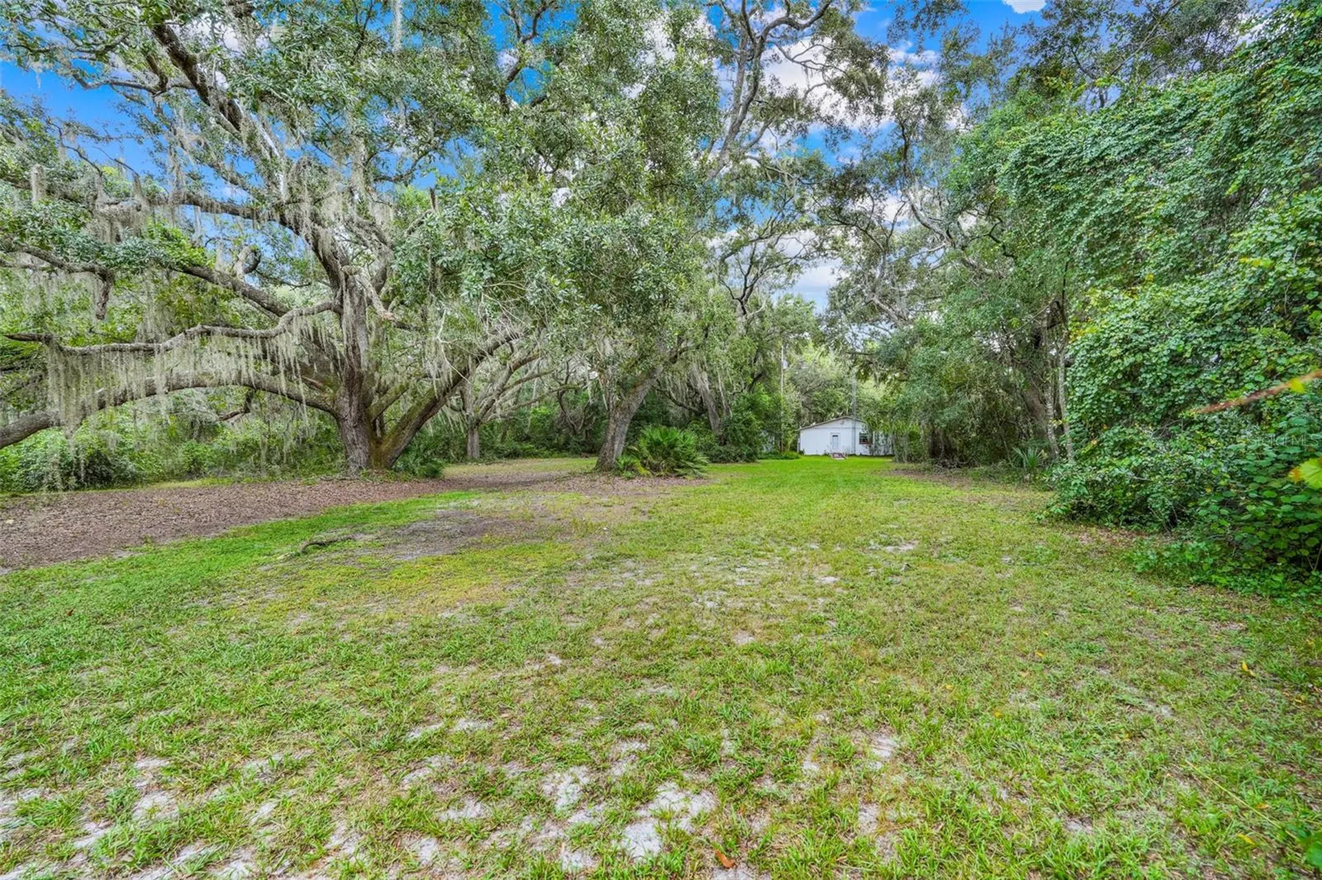 1440 Selman Road Leesburg FL 34748