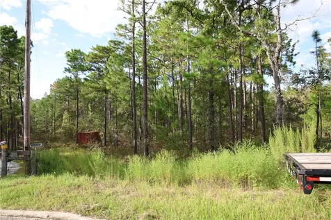 403 Melrose Landing Hawthorne FL 32640