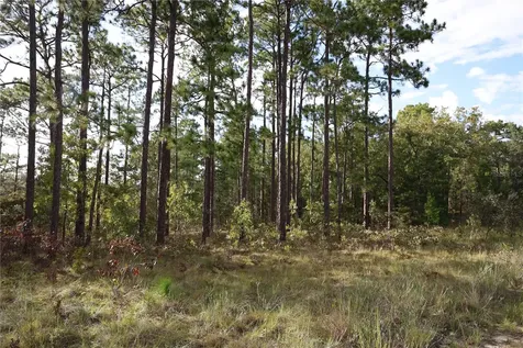 403 Melrose Landing Hawthorne FL 32640