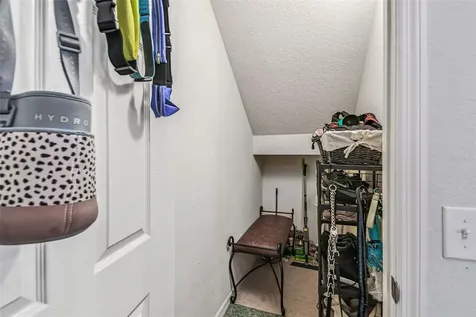 10624 Reams Road Windermere FL 34786