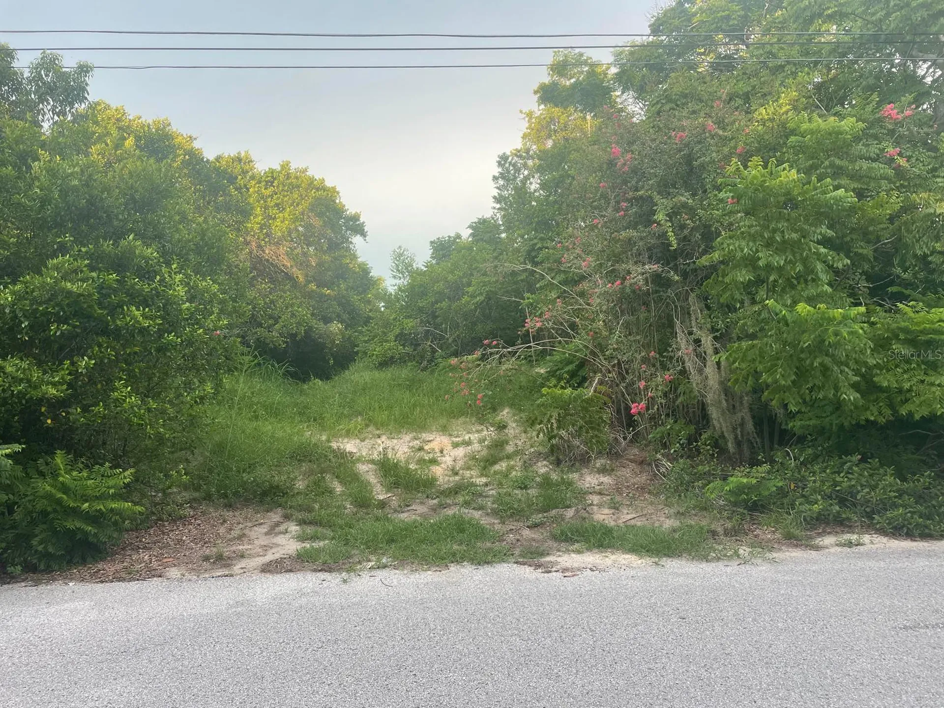 0 Ortega Spring Hill FL 34609