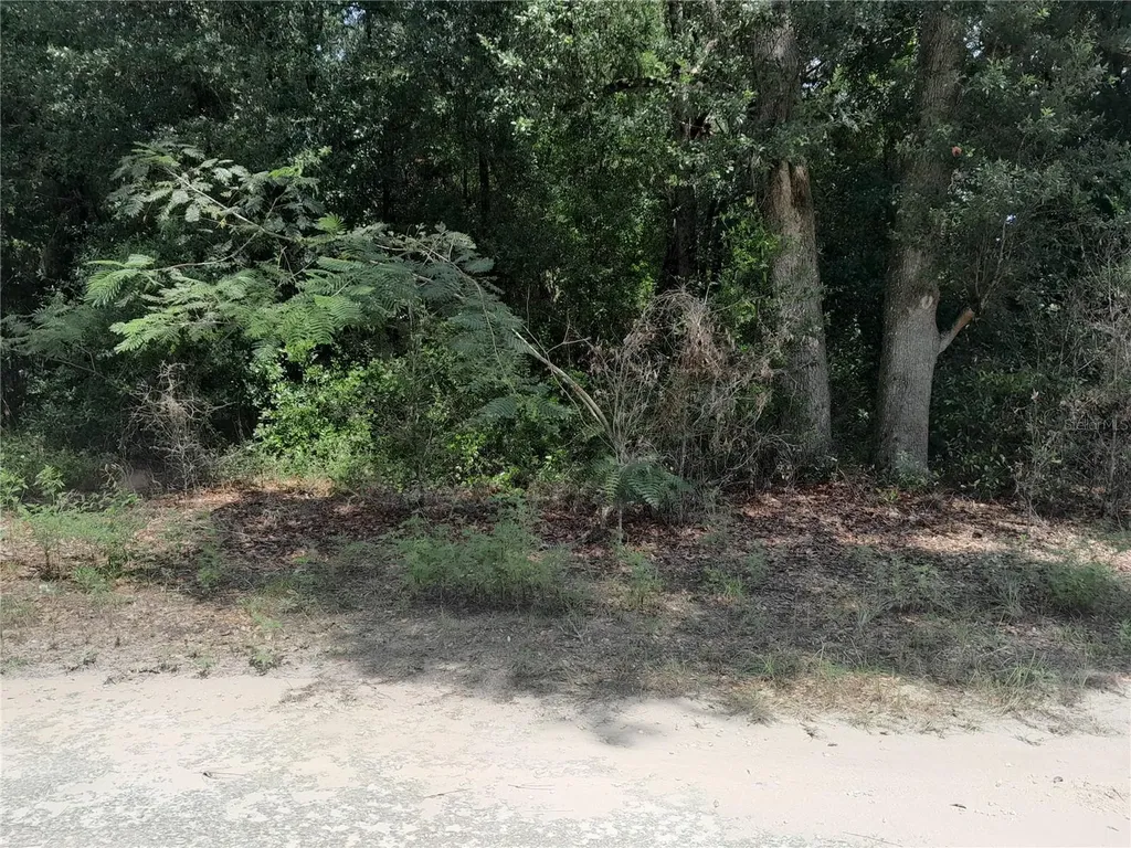 SE 108th Terrace Morriston FL 32668
